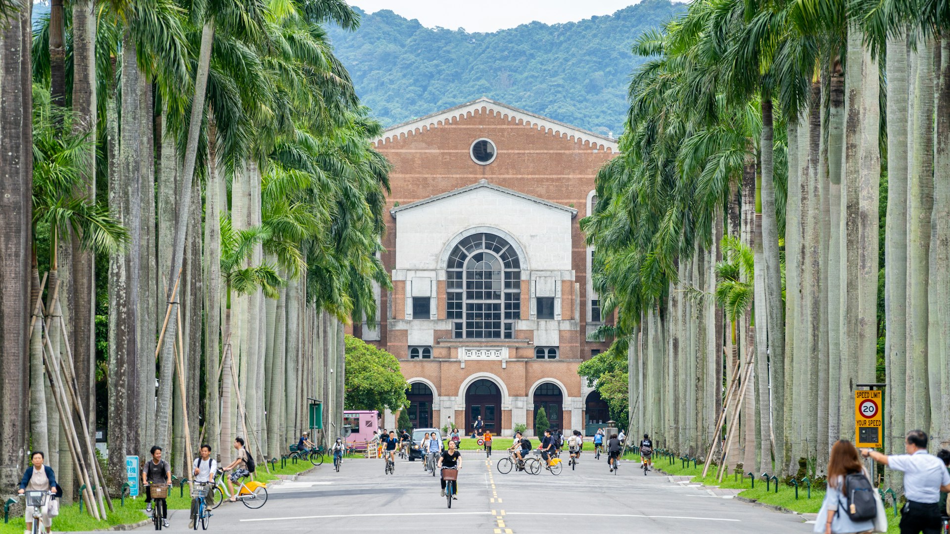 A group of people walking down a street next to tall palm trees